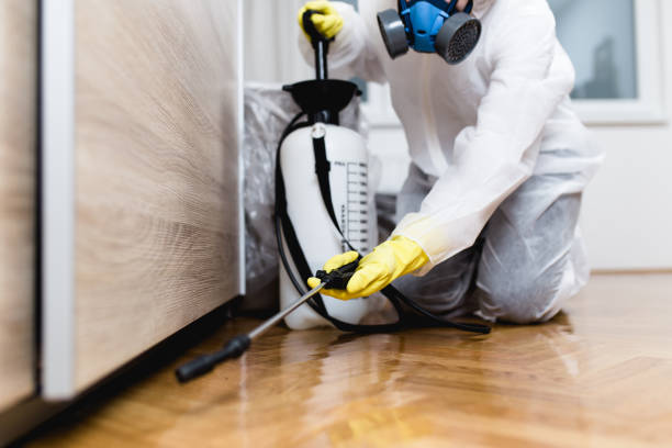 Best Affordable Pest Control Services  in Hellertown, PA