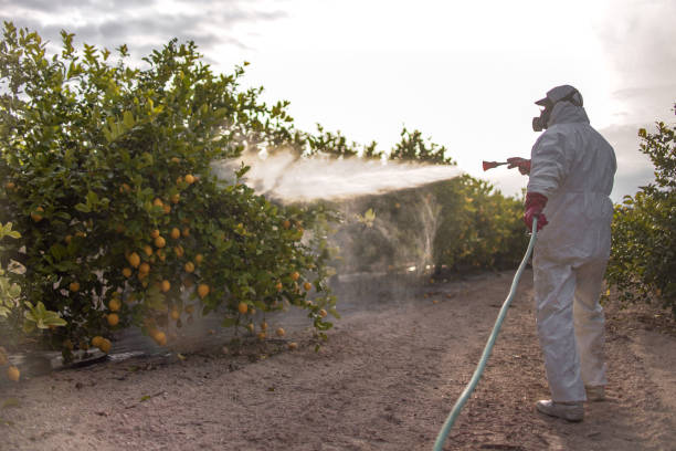 Best Commercial Pest Control Services  in Hellertown, PA